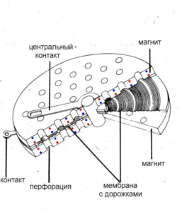 Чем отличаются динамические и изодинамические модели?